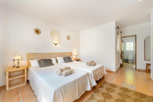 Villa Casa Olivo