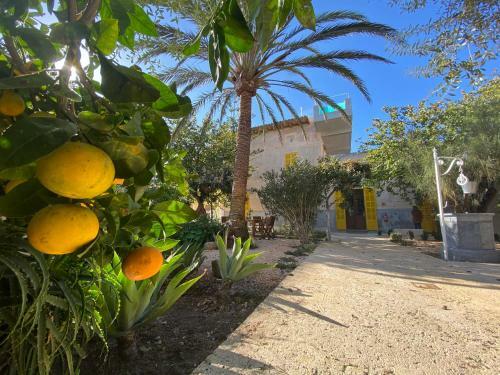 Hotel Boutique Can Pocovi