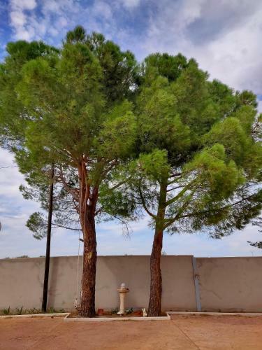 Casa Rural Villa Palos