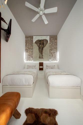 Spectacular Brand New Apartment!