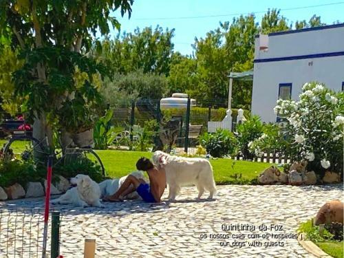 Hostal Quintinha Da Foz Guest House