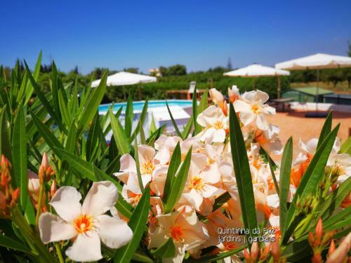 Hostal Quintinha Da Foz Guest House