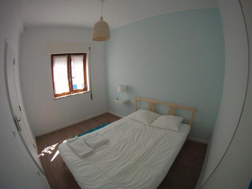 Ahoy Porto Covo Hostel