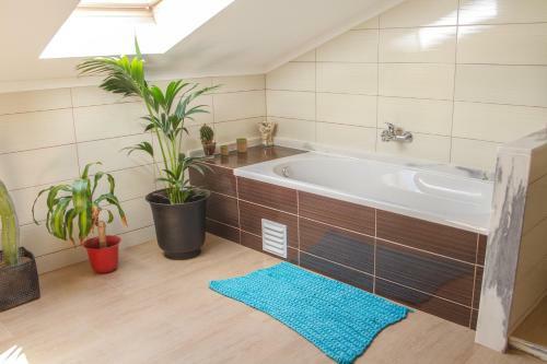 Albergue Green House