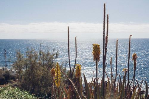 Apartamento Beautiful Casita Next To The Atlantic Ocean
