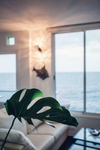 Apartamento Beautiful Casita Next To The Atlantic Ocean
