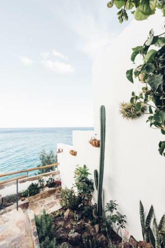 Apartamento Beautiful Casita Next To The Atlantic Ocean
