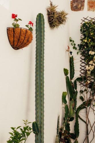 Apartamento Beautiful Casita Next To The Atlantic Ocean