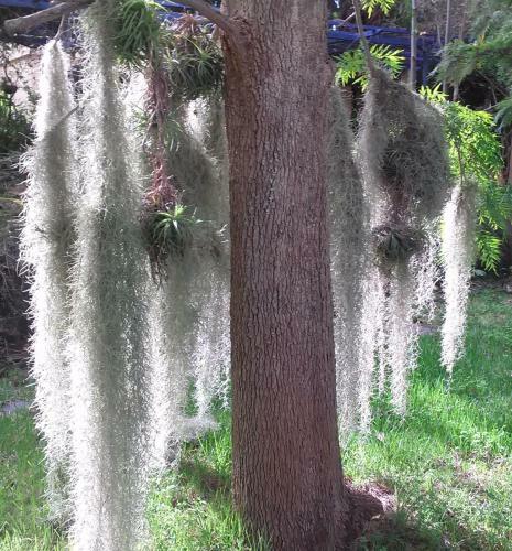 Casa Rural Estilo Vintage