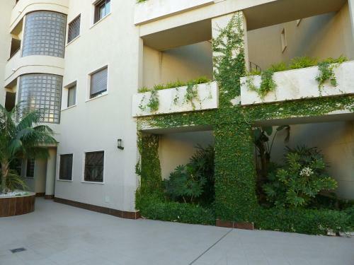 Apartment Mirador de La Yesera