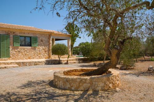 Finca Taconera
