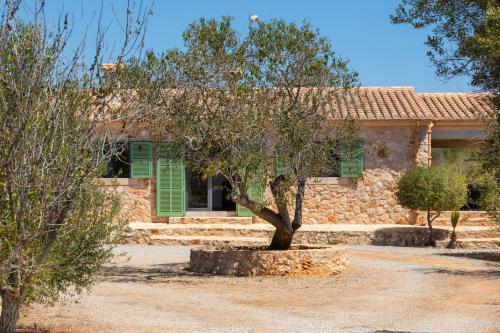 Finca Taconera