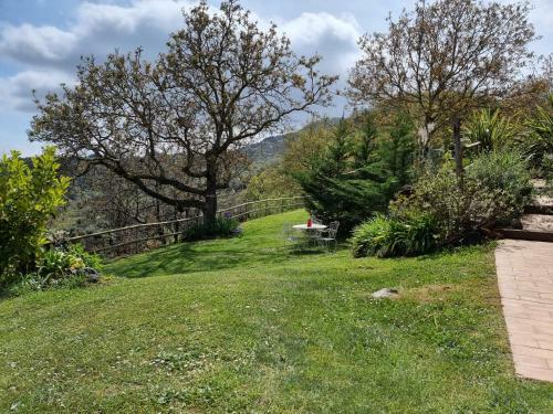 La Casita -adults 0nly-