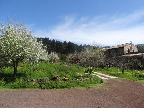 Finca La Gustoza Casa Grande Para 5 Personas
