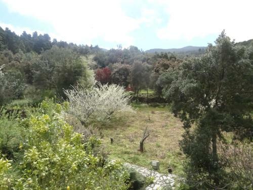 Finca La Gustoza Casa Grande Para 5 Personas