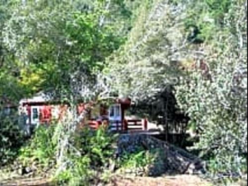 Apartamento Finca Sauzal Caba�a Rural