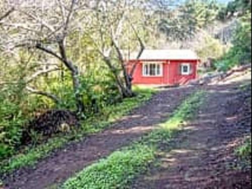Apartamento Finca Sauzal Caba�a Rural