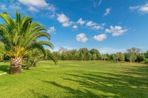 Villa Finca Palmera
