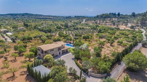 Finca Mestre
