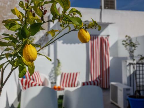 Apartamento San Diego Alto