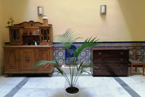 Apartamento Studio With Lovely Terrace In The Center-alameda