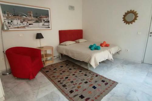 Apartamento Studio With Lovely Terrace In The Center-alameda