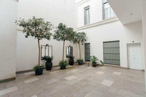 Apartamento Minty Stay - Goyeneta