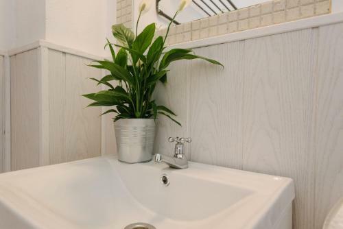 Hostal El Viajero En Sevilla