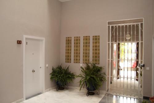 Apartamento Curtidores 6 Suites A.t.