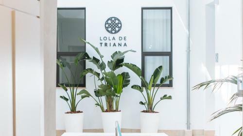 Lola de Triana Apartments
