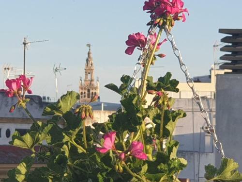 Apartamento Do�a Lola Corner