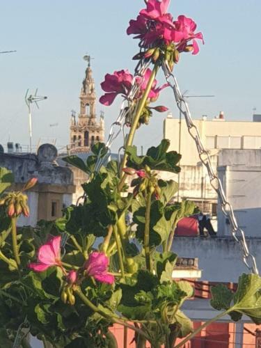 Apartamento Do�a Lola Corner