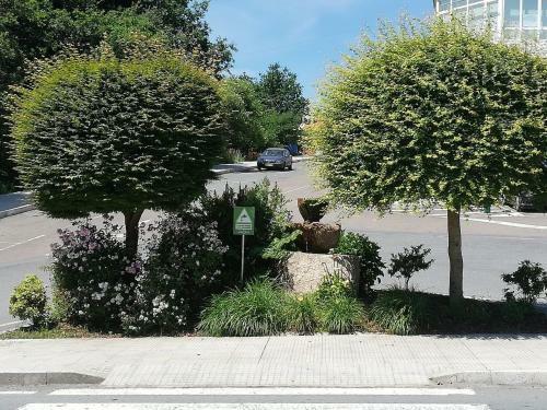 Apartamento Alojamiento Cami�o Real