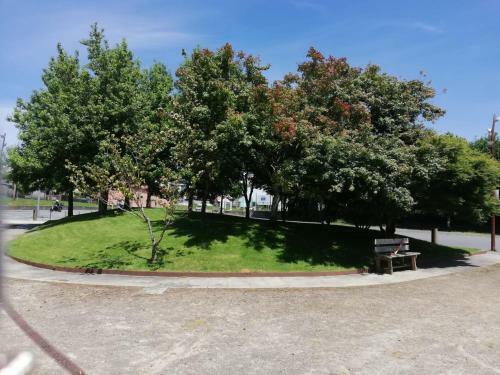 Apartamento Alojamiento Cami�o Real