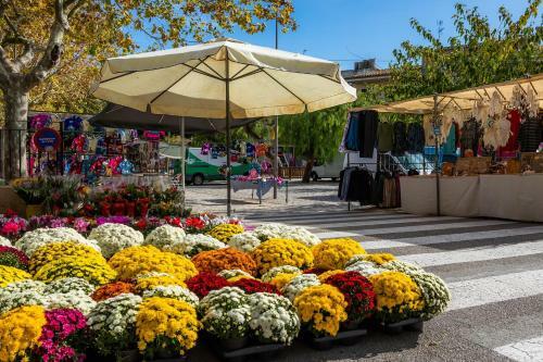 Es Carrero