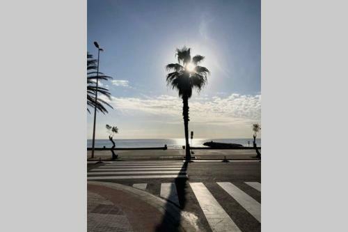 Apartamento Studio Los Globos 50 Mt From Beach - Pool