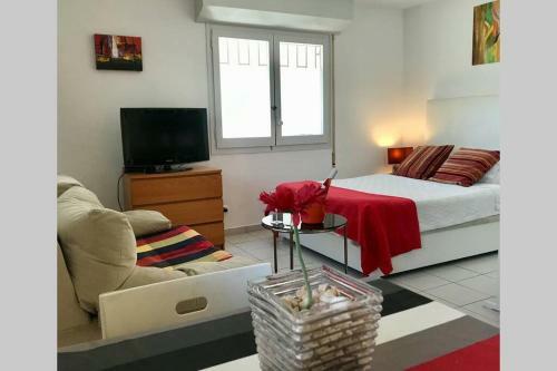 Apartamento Studio Los Globos 50 Mt From Beach - Pool