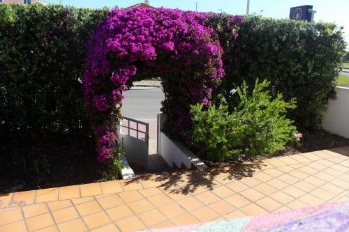 Albergue Captains Log House