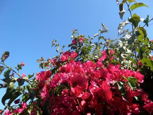 Nature Beach Resort Quinta Al-gharb