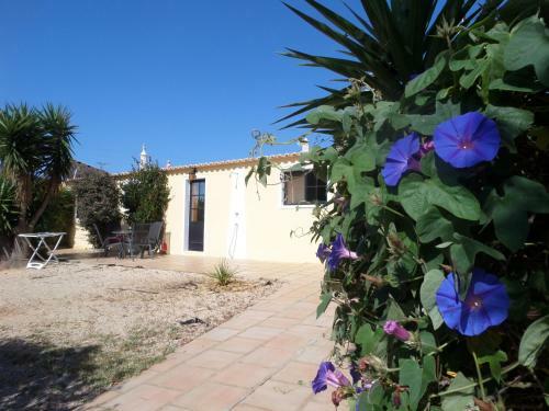 Nature Beach Resort Quinta Al-gharb