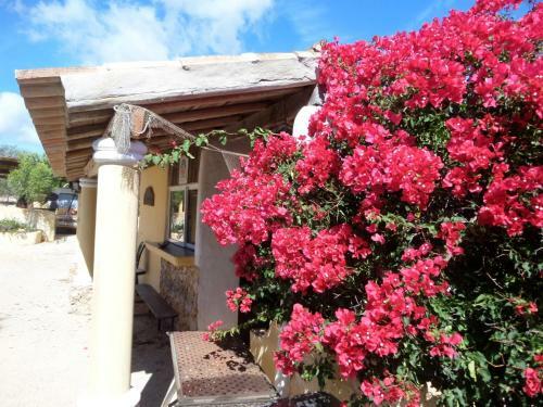 Nature Beach Resort Quinta Al-gharb