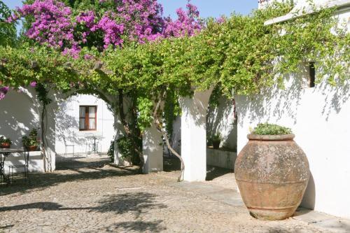 Agroturismo Monte Dos Pensamentos - Turismo Rural