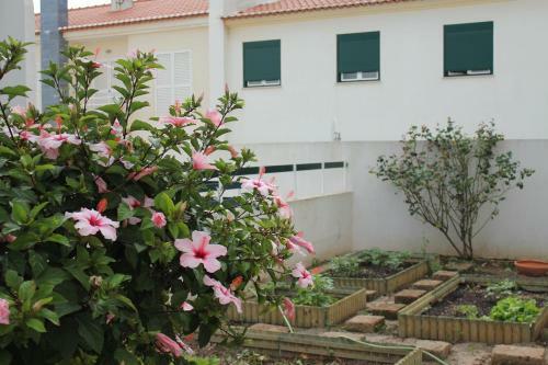 Canas Beach House - Al