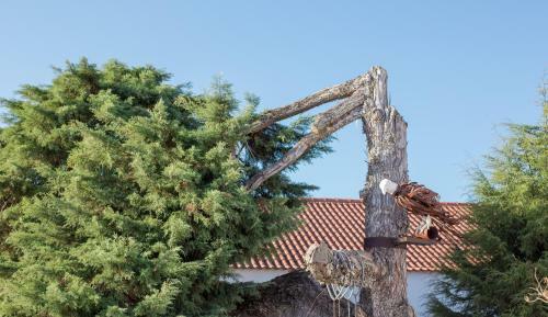 Agroturismo Quinta Do Rol