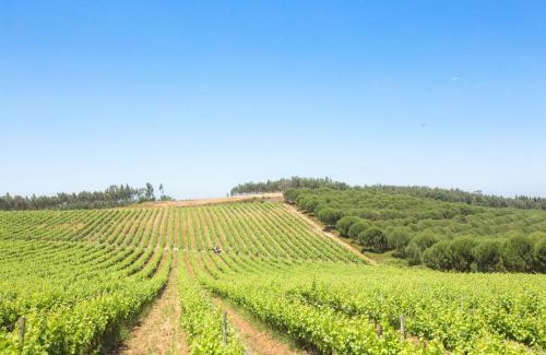 Agroturismo Quinta Do Rol