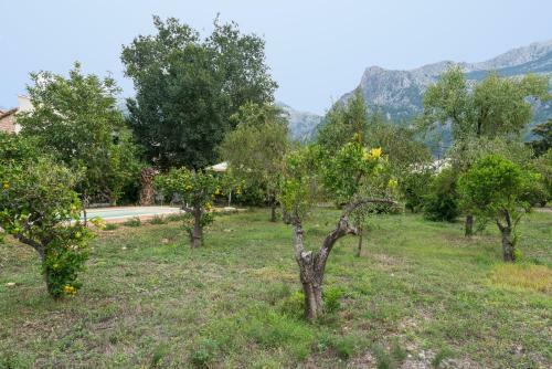 Peaceful And Cozy At Soller Centre