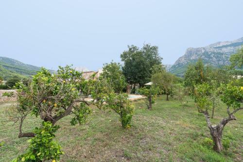 Peaceful And Cozy At Soller Centre