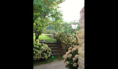 Tapis Villa Sleeps 2 With Pool