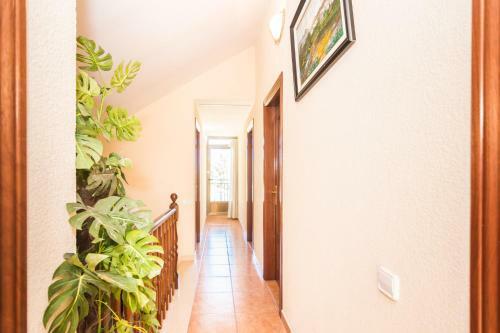 Villa Homeholidaysrentals Corts