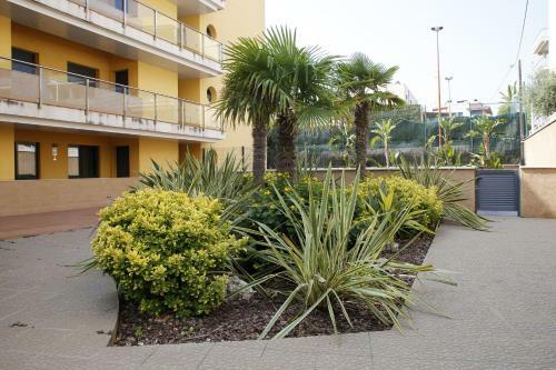Apartamento At035 Costa Fina